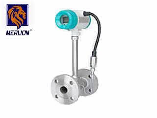 vortex meter